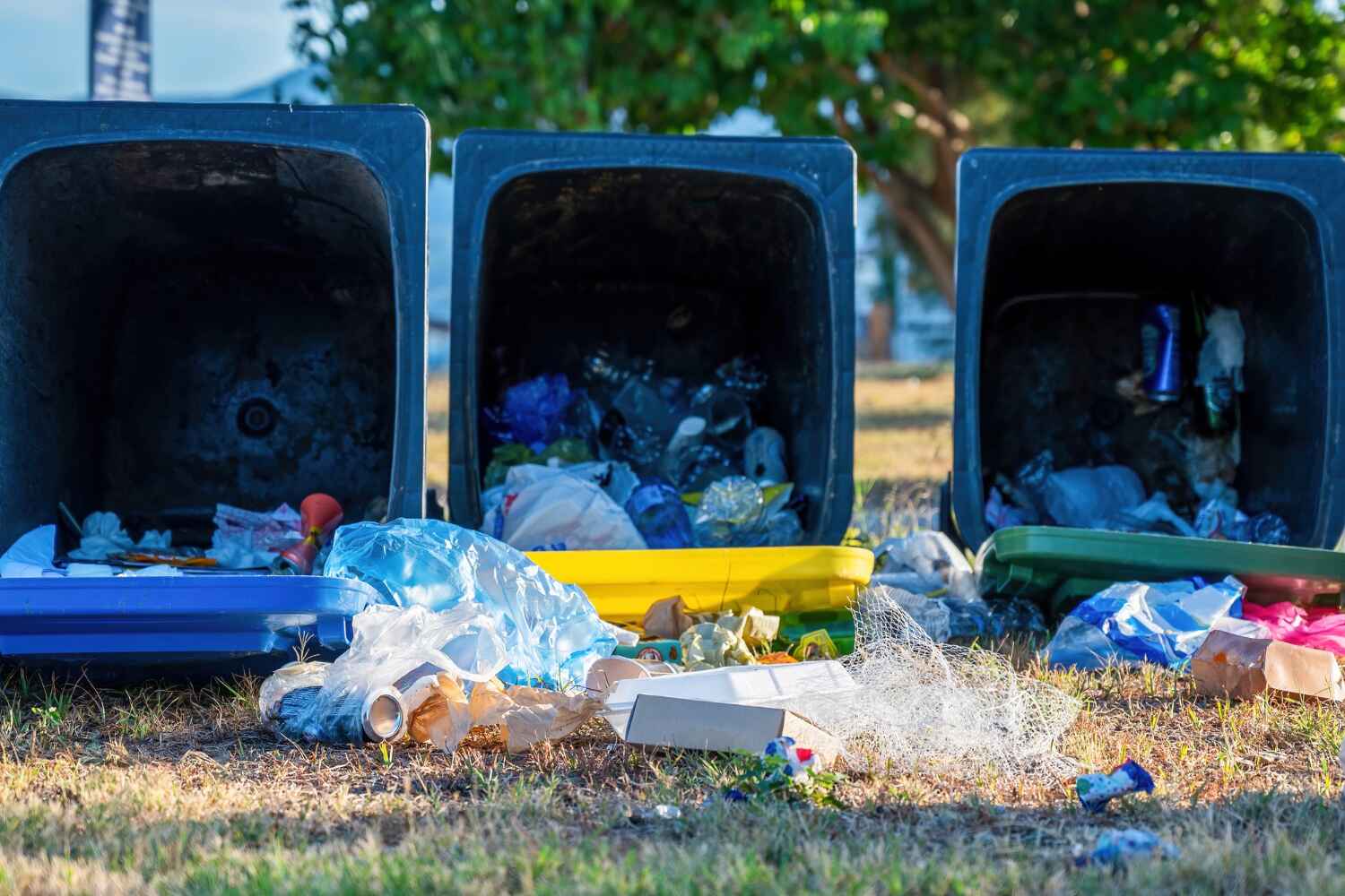 Trash Removal Near Me in La Verkin, UT